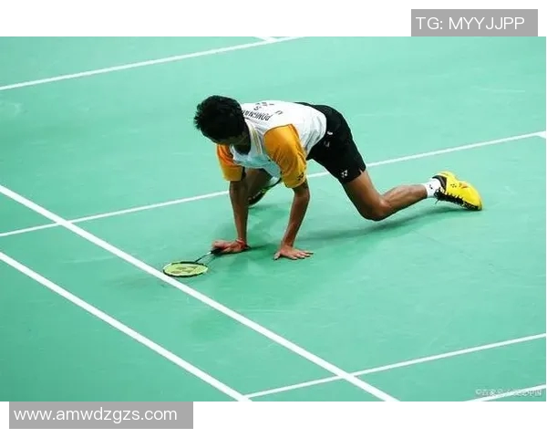 体育实时数据羽毛球新手必看快速入门指南助你轻松掌握基本技巧与战术