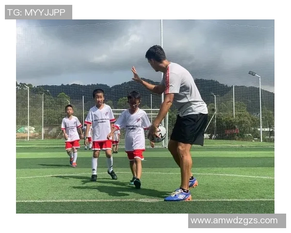 体育实时数据足球装备选购指南护具推荐助你安全畅享比赛乐趣